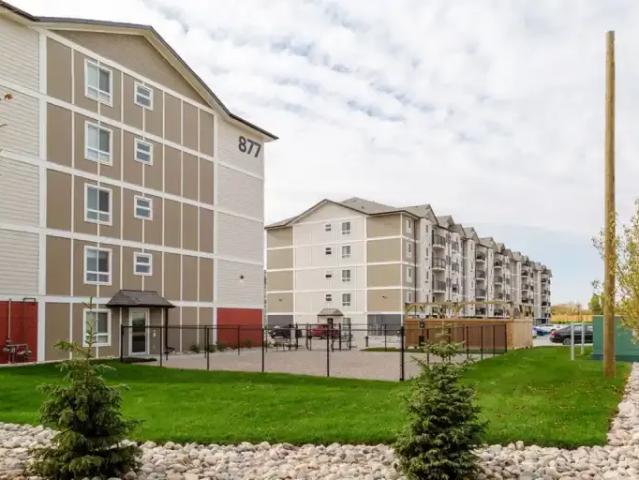 Apartment 1 Bedroom For Rent Winnipeg MB 1518 ES101947588