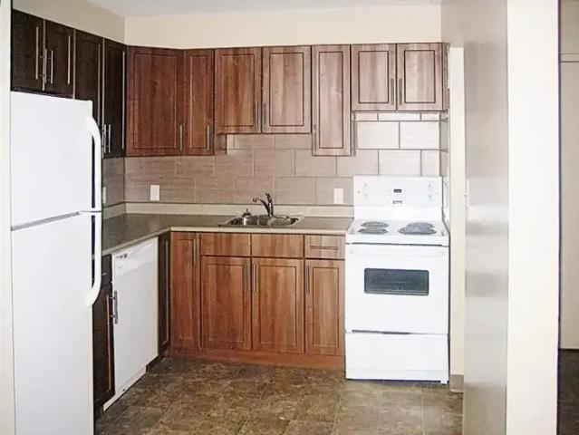 Apartment 1 Bedroom For Rent Winnipeg MB 1095 ES100707063