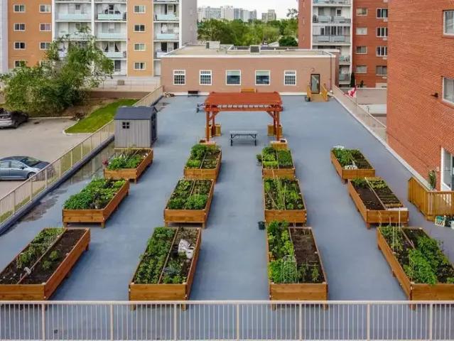 Apartment 1 Bedroom For Rent Winnipeg MB 1195 ES105150097
