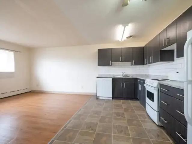 Apartment 1 Bedroom For Rent Winnipeg MB 1282 ES101947511