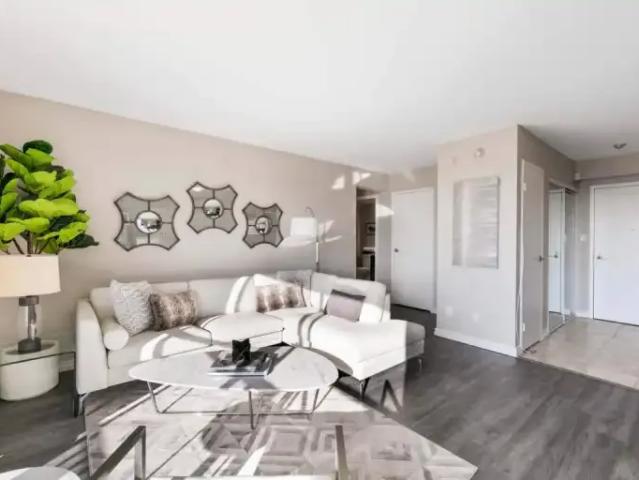 Apartment 1 Bedroom For Rent Windsor ON 1399 ES99675303