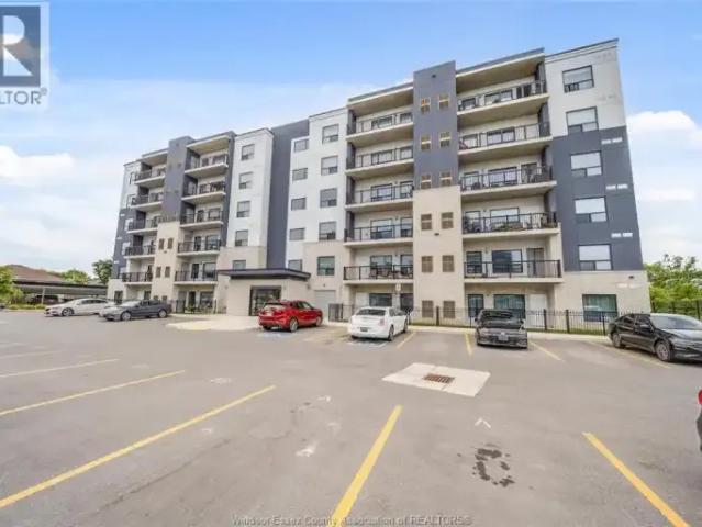 Apartment 1 Bedroom For Rent Windsor ON 1900 ES103612025