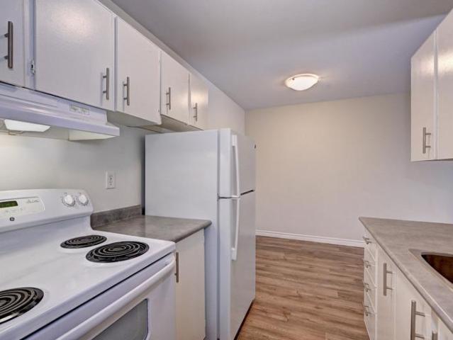 Apartment 1 Bedroom For Rent Woodstock ON 1700 ES88895979