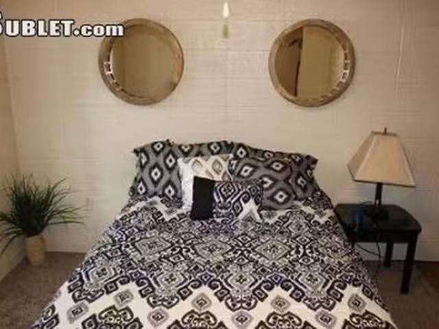 Apartment 1 bedrooms in Carbondale
