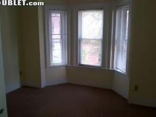 Apartment 1 bedrooms in New Haven