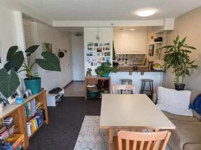 Apartment 1 bedrooms in Stanford