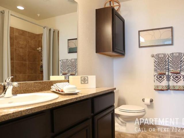 apartment 2 bedroom, Conroe TX 77384 DLS77320641