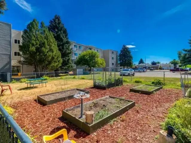 Apartment 2 Bedroom For Rent Medicine Hat AB 1535 ES103611327