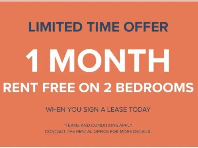 Apartment 2 Bedroom For Rent Montreal QC 2255 ES98955473