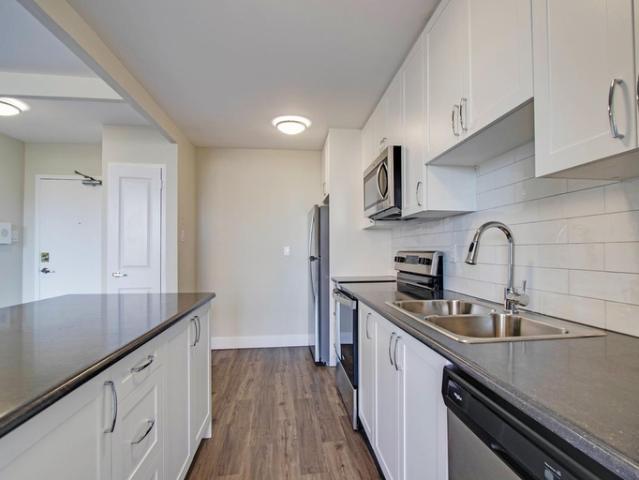 Apartment 2 Bedroom For Rent North York ON 2298 ES88070928