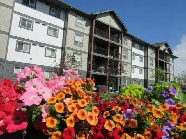 Apartment 2 Bedroom For Rent Airdrie AB 1699 ES103878908