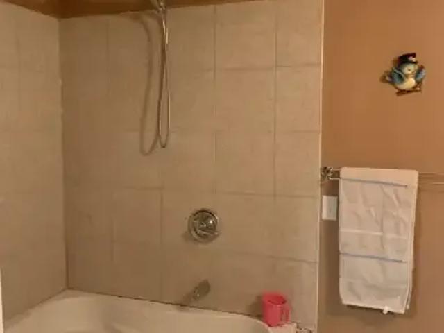 Apartment 2 Bedroom For Rent Calgary AB 1099 ES104181170