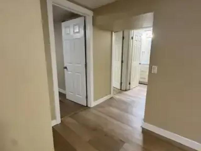 Apartment 2 Bedroom For Rent Calgary AB 1150 ES104362416