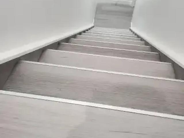 Apartment 2 Bedroom For Rent Calgary AB 1350 ES104434298