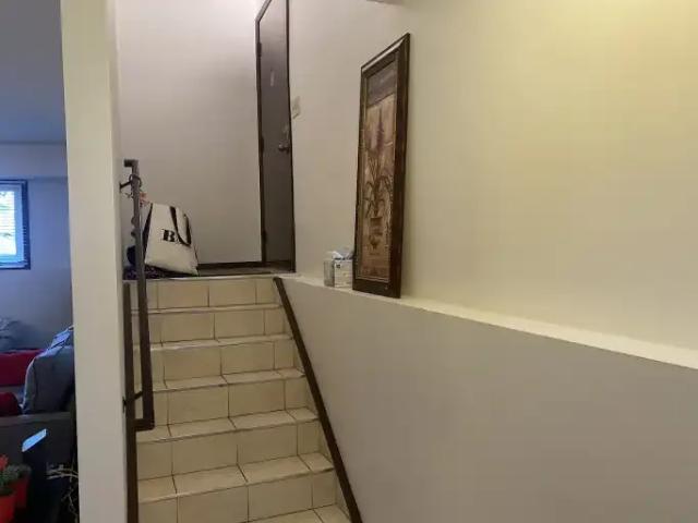 Apartment 2 Bedroom For Rent Calgary AB 1300 ES104224438