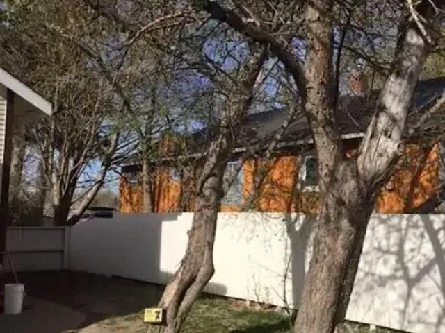 Apartment 2 Bedroom For Rent Calgary AB 1499 ES104224649