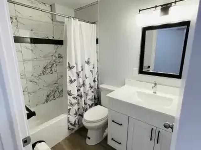 Apartment 2 Bedroom For Rent Calgary AB 1500 ES104362339