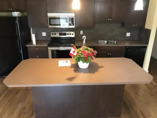 Apartment 2 Bedroom For Rent Calgary AB 1750 ES105435114