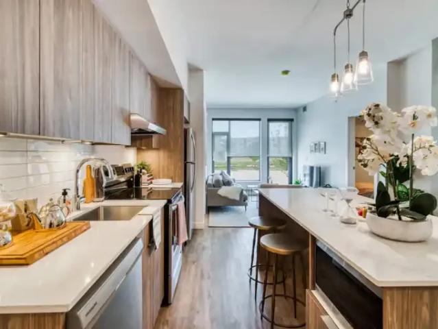 Apartment 2 Bedroom For Rent Calgary AB 1895 ES103957631