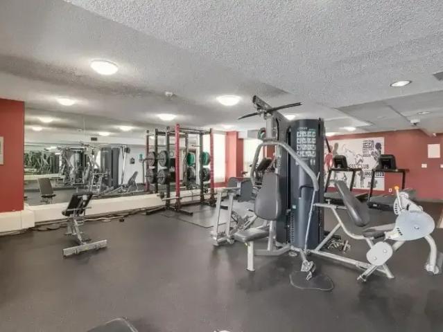Apartment 2 Bedroom For Rent Calgary AB 1830 ES103694666