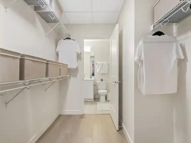 Apartment 2 Bedroom For Rent Calgary AB 2319 ES104433859