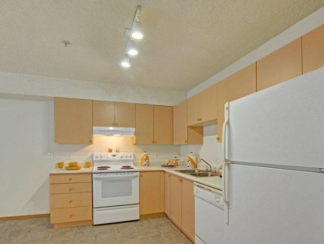 Apartment 2 Bedroom For Rent Camrose AB 1445 ES96246810