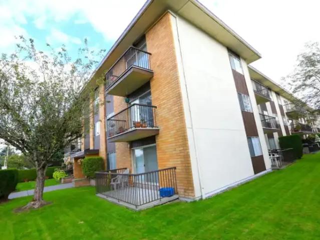 Apartment 2 Bedroom For Rent Chilliwack BC 1595 ES103694485