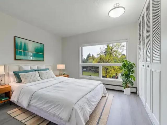 Apartment 2 Bedroom For Rent Edmonton AB 1439 ES104888055