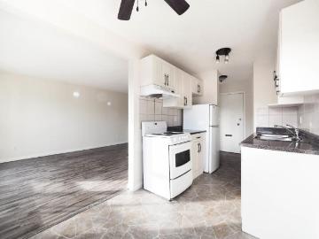 Idylwylde, Edmonton, Alberta - Balcony