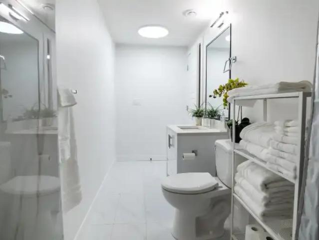 Apartment 2 Bedroom For Rent Edmonton AB 1500 ELS105281817