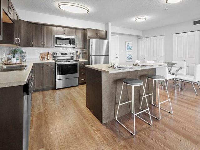 Apartment 2 Bedroom For Rent Edmonton AB 1500 ELS96586532