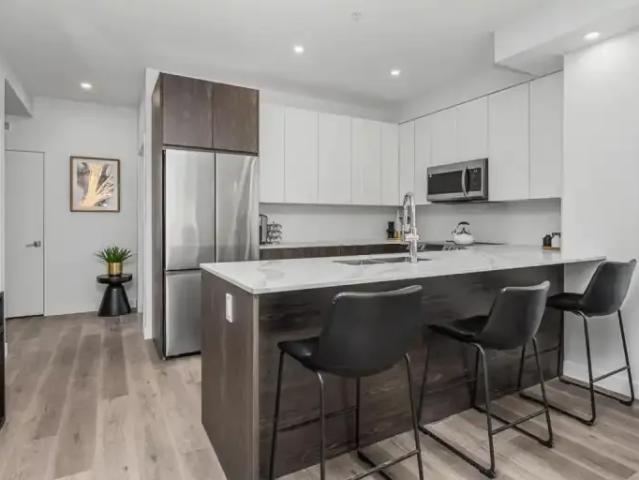 Apartment 2 Bedroom For Rent Edmonton AB 1525 ES106044477