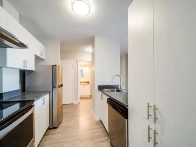 Apartment 2 Bedroom For Rent Edmonton AB 1550 ES96251611