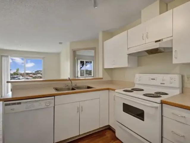 Apartment 2 Bedroom For Rent Edmonton AB 1605 ELS103999647