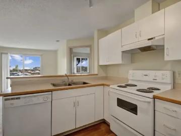 Apartment 2 Bedroom For Rent Edmonton AB 1605 ES102587310