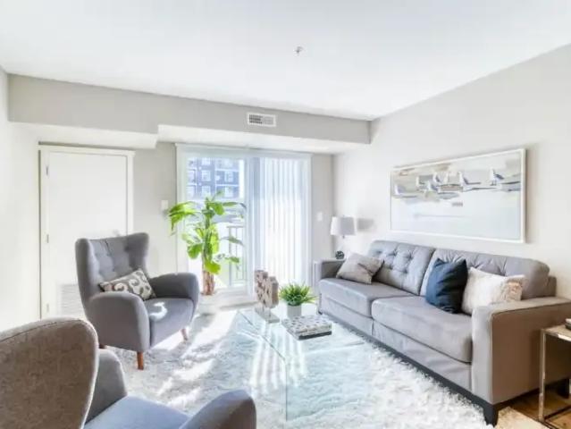 Apartment 2 Bedroom For Rent Edmonton AB 1648 ES103694409
