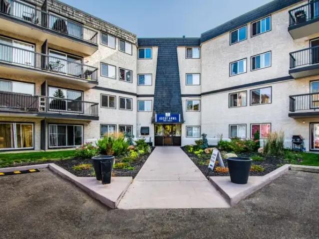 Apartment 2 Bedroom For Rent Edmonton AB 1649 ES103652029
