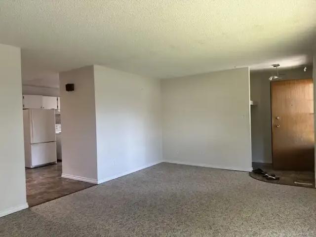 Apartment 2 Bedroom For Rent Edmonton AB 1650 ES104710903