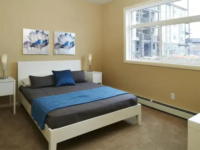 Apartment 2 Bedroom For Rent Edmonton AB 1975 ES101876813