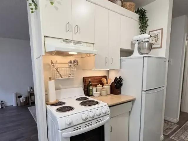 Apartment 2 Bedroom For Rent Edmonton AB 1150 ES103694879