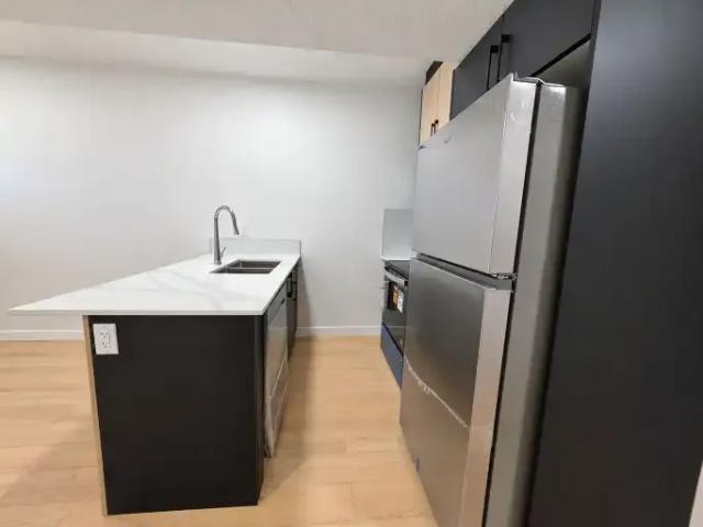 Apartment 2 Bedroom For Rent Edmonton AB 1150 ES105602089