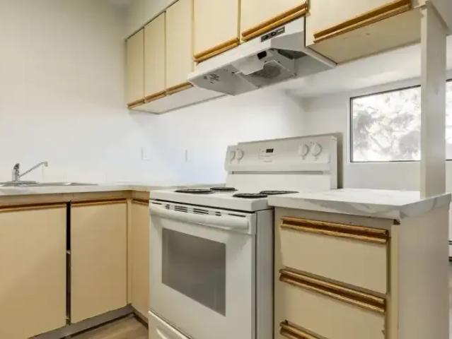 Apartment 2 Bedroom For Rent Edmonton AB 1303 ES105466615