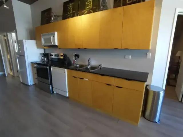 Apartment 2 Bedroom For Rent Edmonton AB 2250 ES104986089