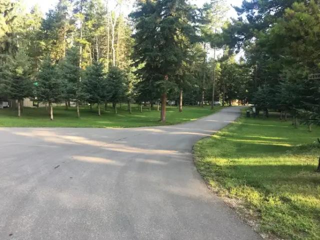 Apartment 2 Bedroom For Rent Elkton AB 800 ES104824596