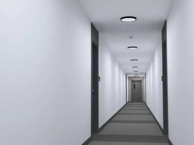 Apartment 2 Bedroom For Rent Greenfield Park QC 1695 ES104179073