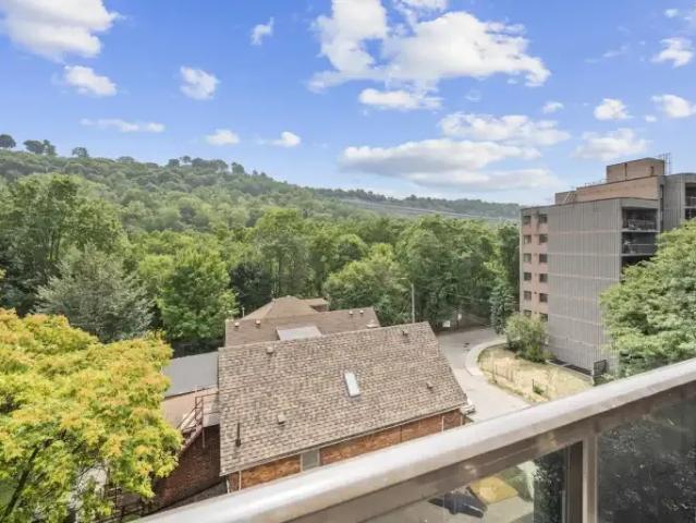 Apartment 2 Bedroom For Rent Hamilton ON 1550 ES106148360