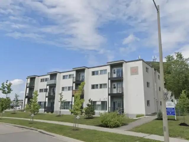 Apartment 2 Bedroom For Rent Kitchener ON 1599 ES103569003