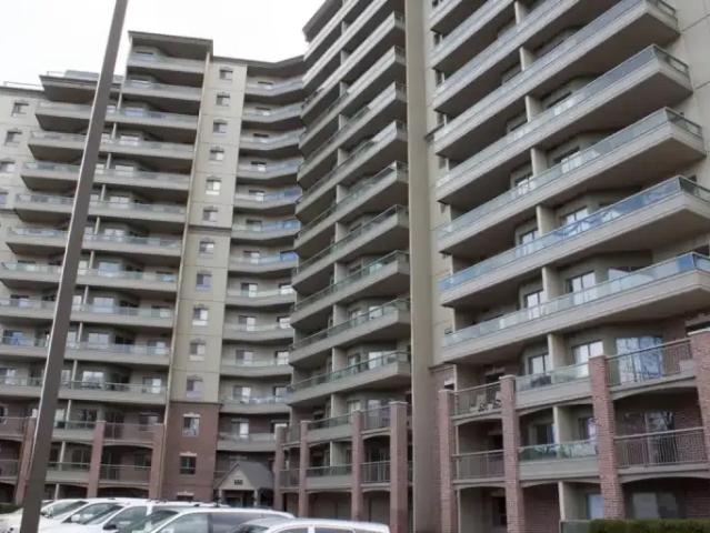 Apartment 2 Bedroom For Rent Kitchener ON 2450 ES102882748
