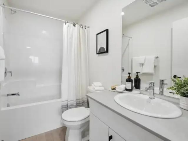 Apartment 2 Bedroom For Rent Lethbridge AB 1780 ES101555263