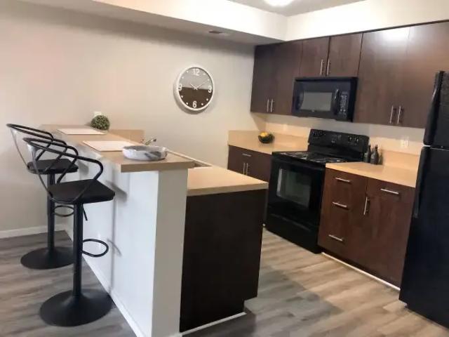 Apartment 2 Bedroom For Rent Regina SK 1672 ES102882577